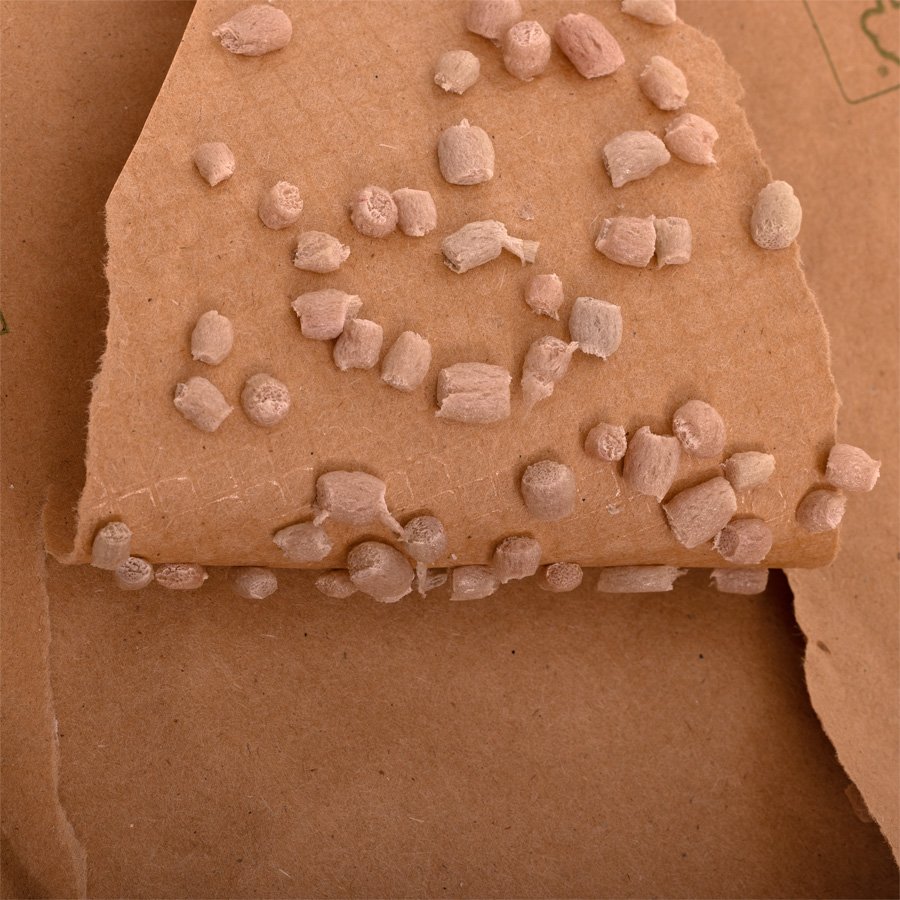 Hauptlupe der Papierpolsterkgelchen