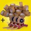 Packband tesa + 3x Abroller tesa Spar-Set Packband tesa + 3x Abroller tesa Spar-Set