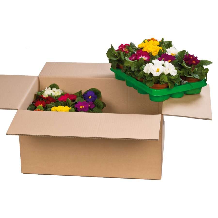 Karton fr den Pflanzenversand