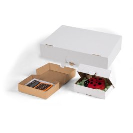 Klappschachtel mit Steckverschluss und Seitenklappen