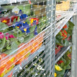 Handstretchfolie, gelocht