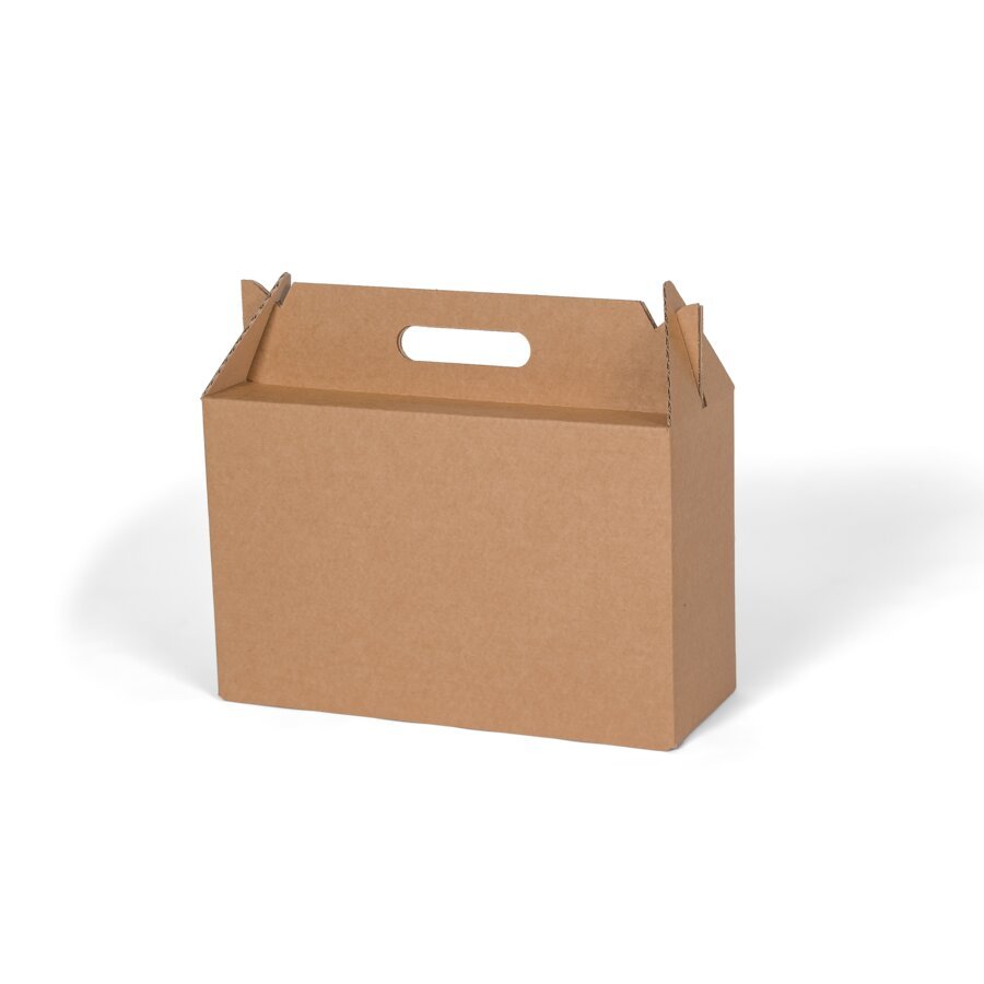 ber den ausgestanzten Tragegriff lsst sich der Karton einfach und bequem transportieren