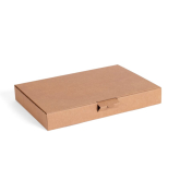 Maxibrief-Karton 353 x 250 x 50 mm (AM) braun